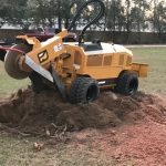treesy cuts stump grinding
